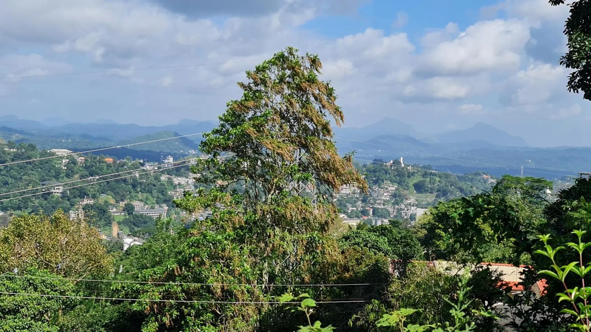 Oda ve Kahvaltı Windy Villa Kandy Sri Lanka